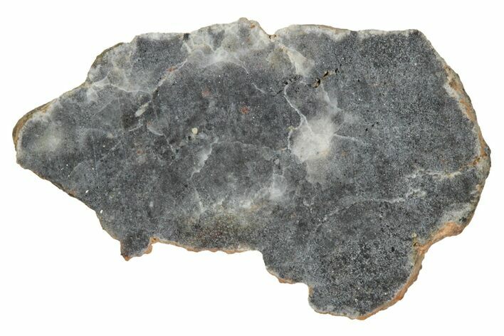 Lunar Meteorite ( g) Slice - Bechar #348226